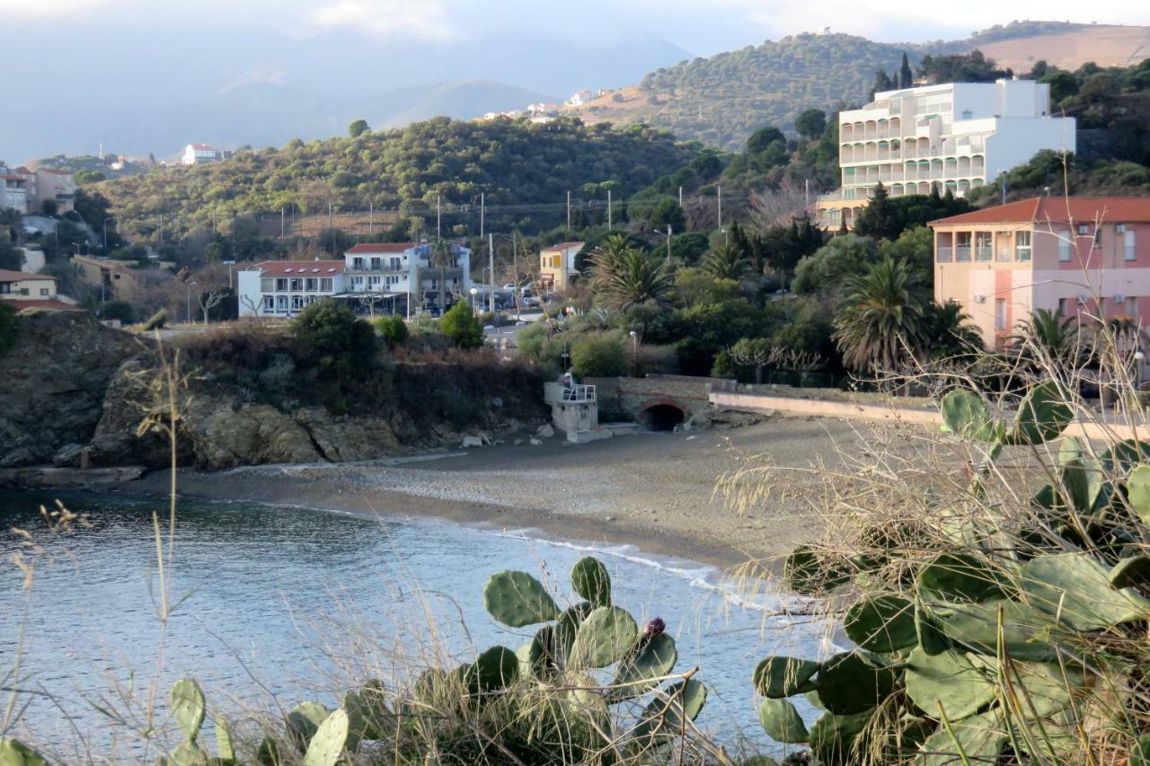 Les Pieds Dans L'Eau Apartment Banyuls-sur-Mer Exterior photo